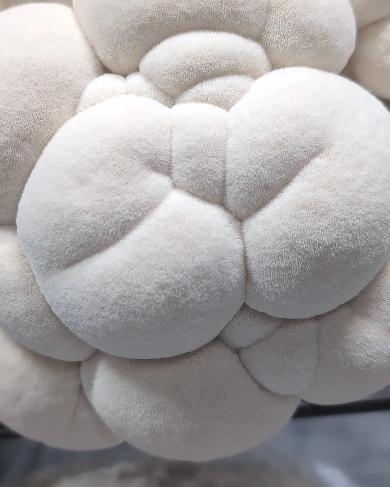 Lion's Mane grown by Slemish Fungi