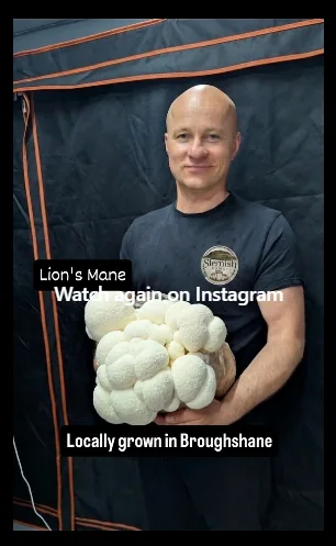 Slemish Fungi on Instagram