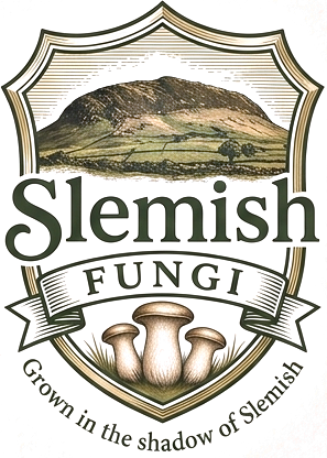 Slemish Fungi Seal