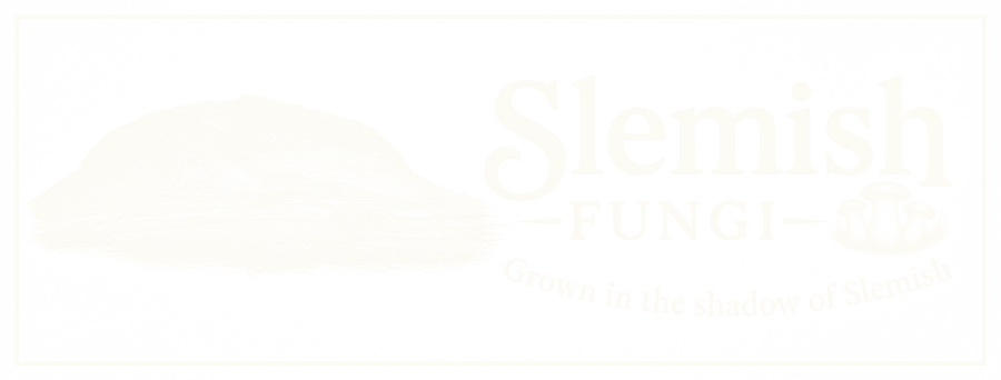Slemish Fungi Logo